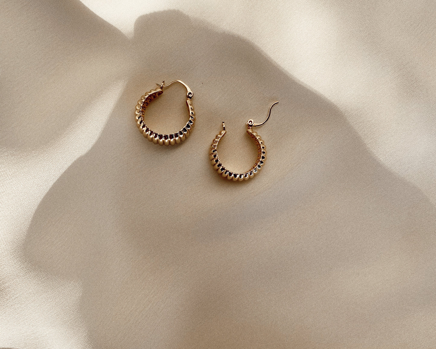 shelly hoops