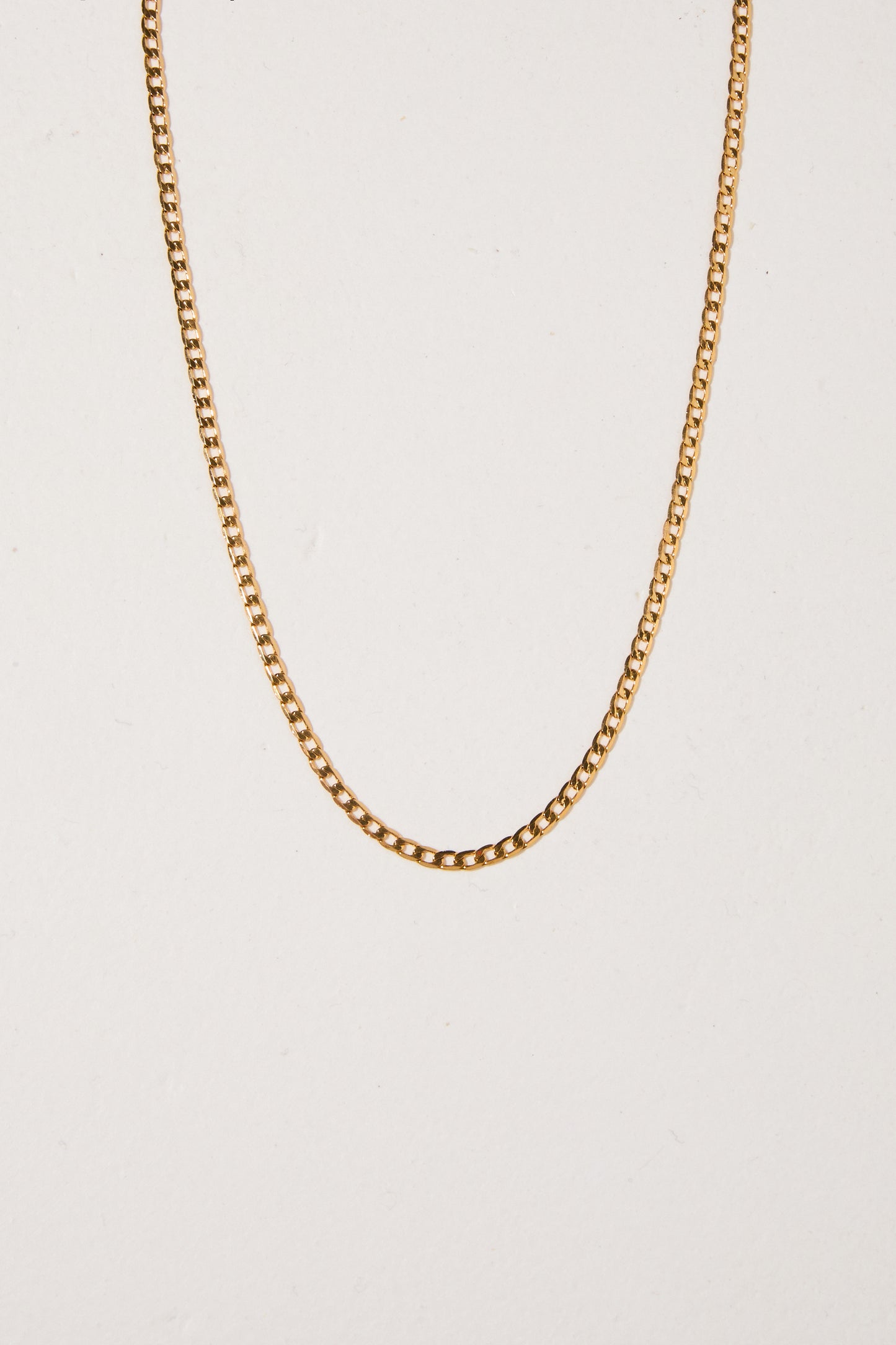 Ethan Curb Chain Necklace