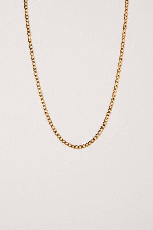 Ethan Curb Chain Necklace