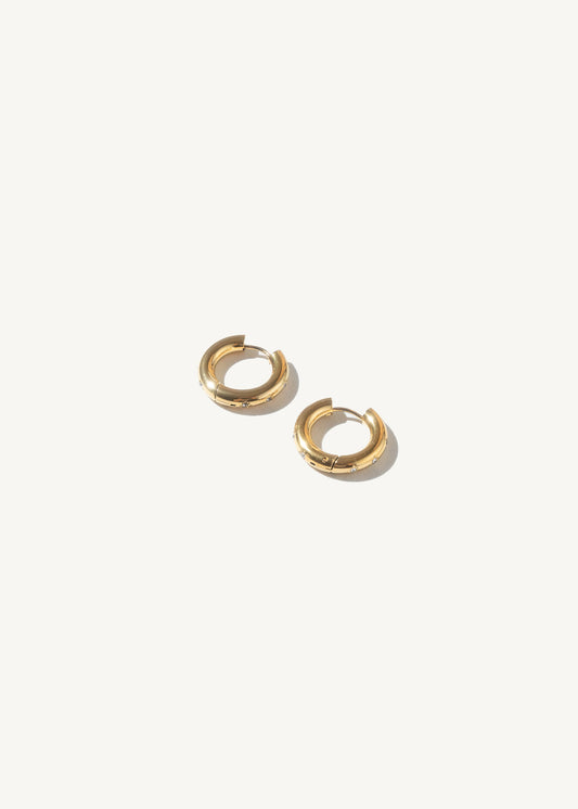 Stephanie hoops