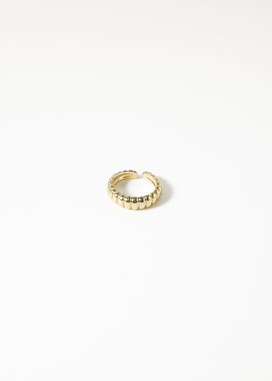 shelly ring